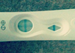 preg test