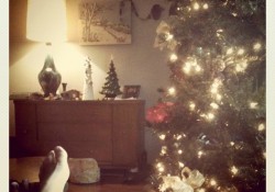 Mid Century Modern Christmas